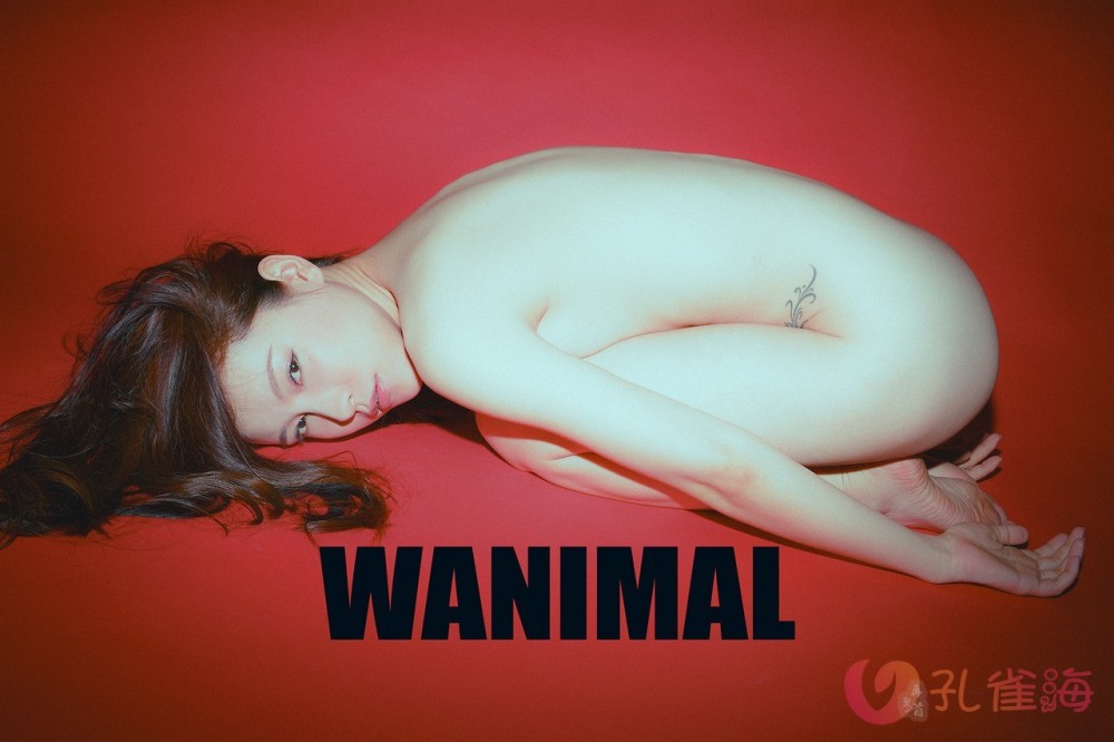[合集]珍藏写真《WANIMAL王动》系列全套包含高清视频和套图，大小75.2G 组图