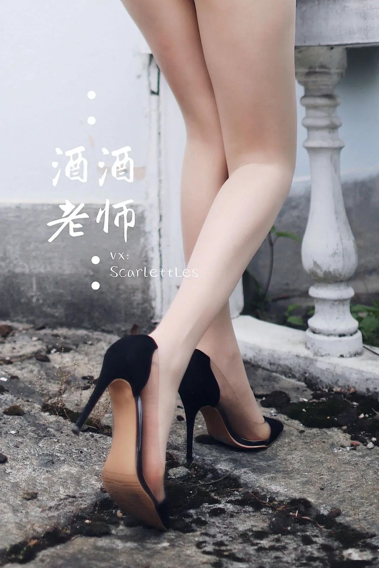[合集]特色丝模《酒酒老师》全套合集34套，大小3.3G 组图